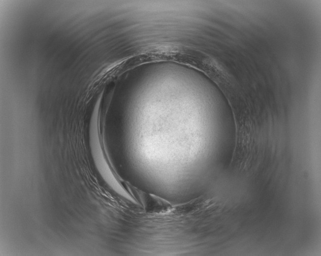 X0000056330773200509161708