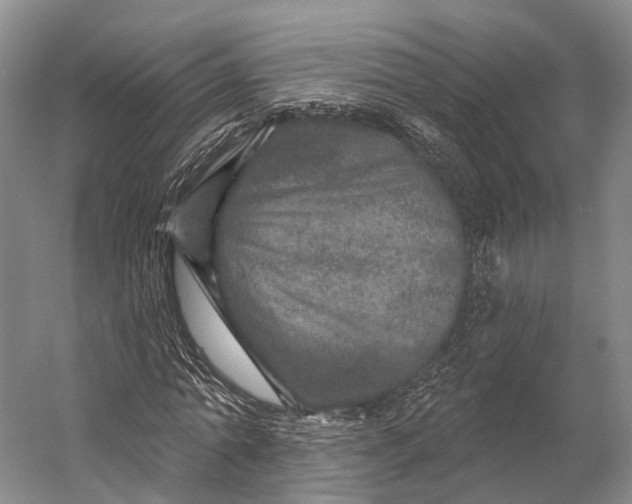 X0000056330774200509161708