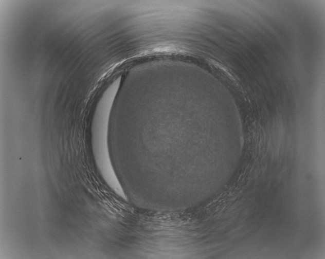 X0000056330776200509161708