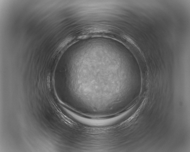 X0000056330777200509161708