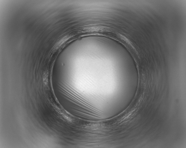 X0000056330778200509161708