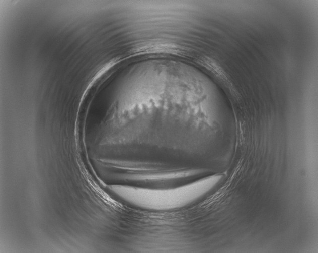 X0000056330780200509161708