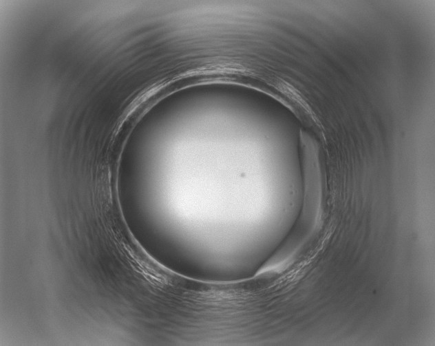 X0000056330781200509161708