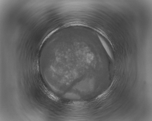 X0000056330782200509161708