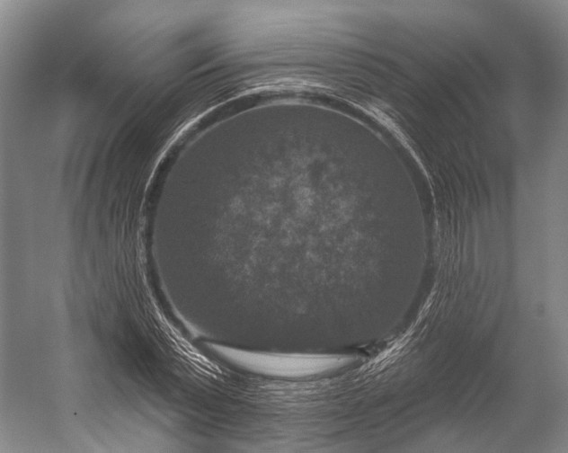 X0000056330783200509161708