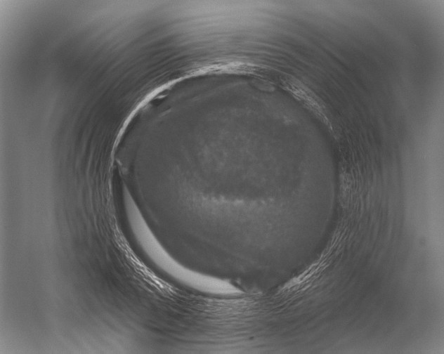 X0000056330784200509161708