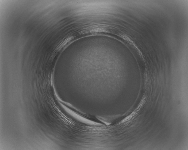 X0000056330785200509161708