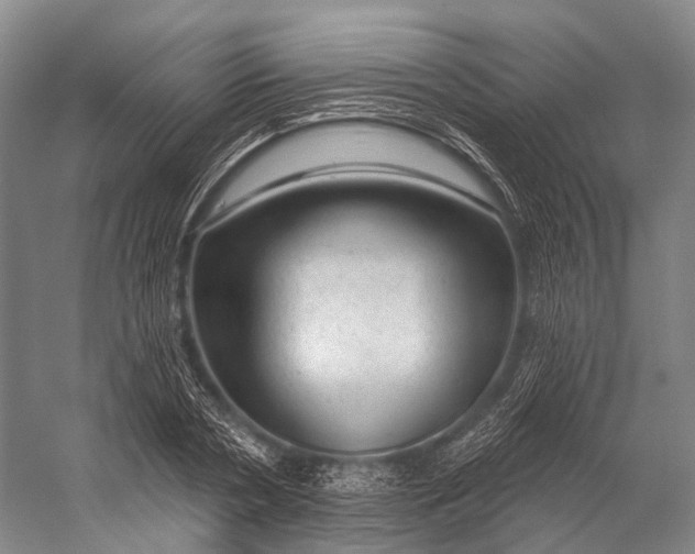 X0000056330786200509161708