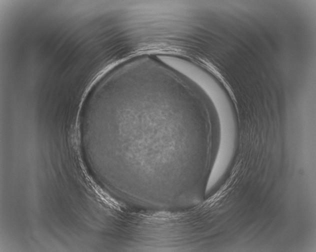 X0000056330787200509161708