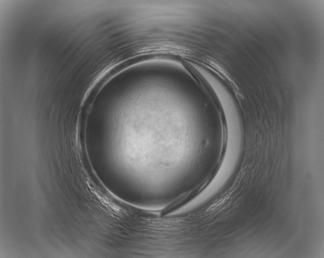 X0000056330788200509161708