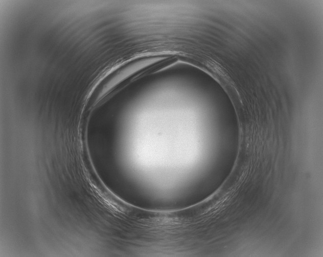 X0000056330789200509161708