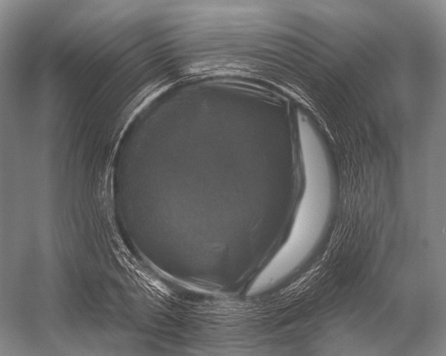 X0000056330790200509161708