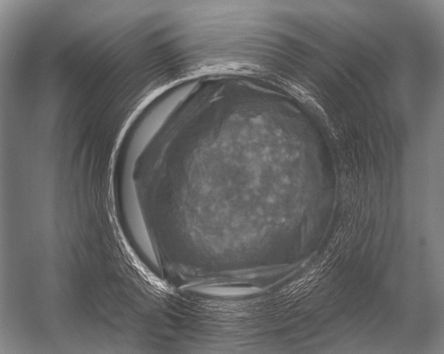 X0000056330792200509161708