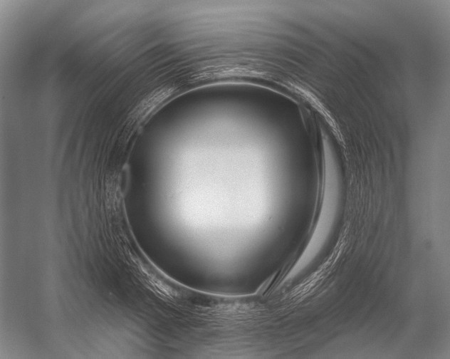 X0000056330793200509161708