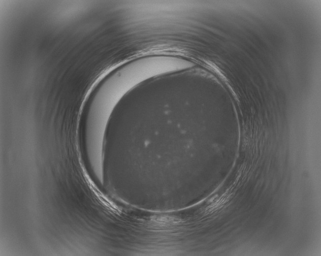 X0000056330795200509161708