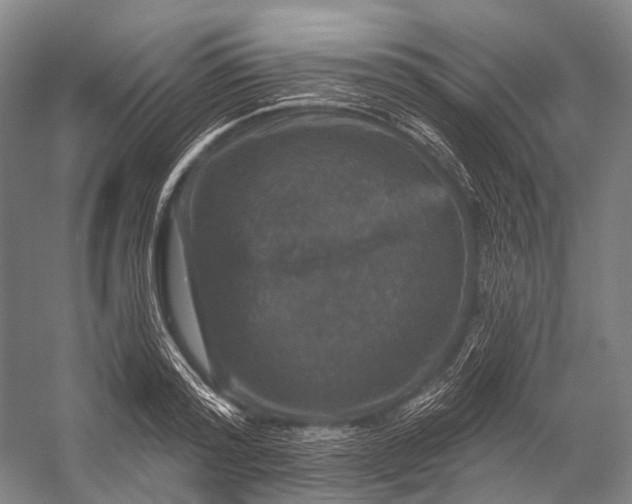 X0000056330796200509161708