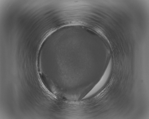 X0000056330797200509161708