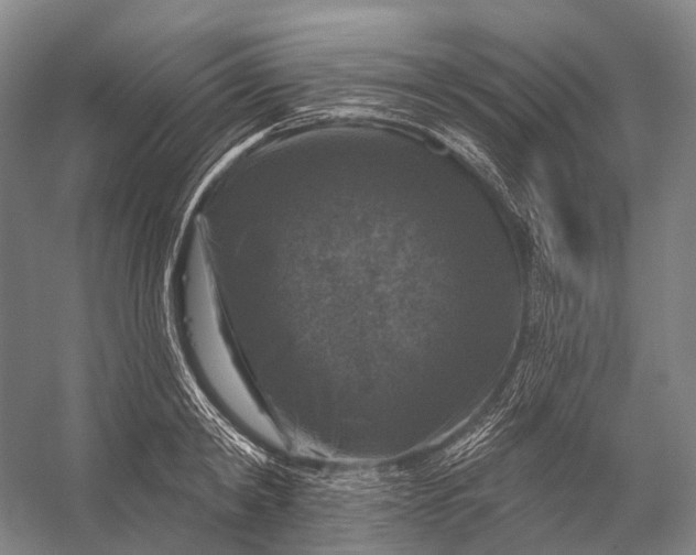 X0000056330798200509161708