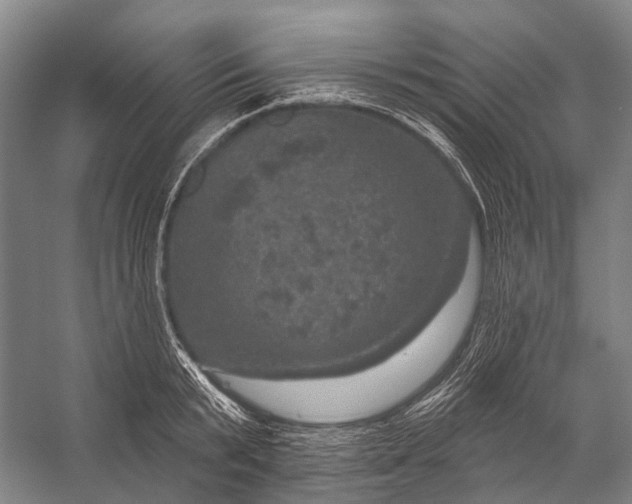 X0000056330799200509161708