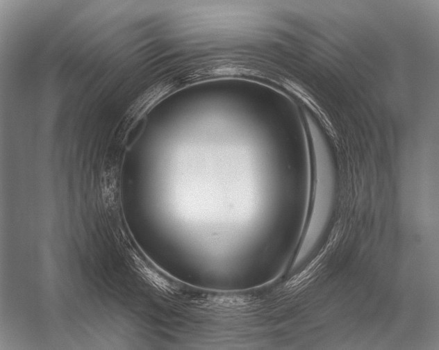 X0000056330801200509161708