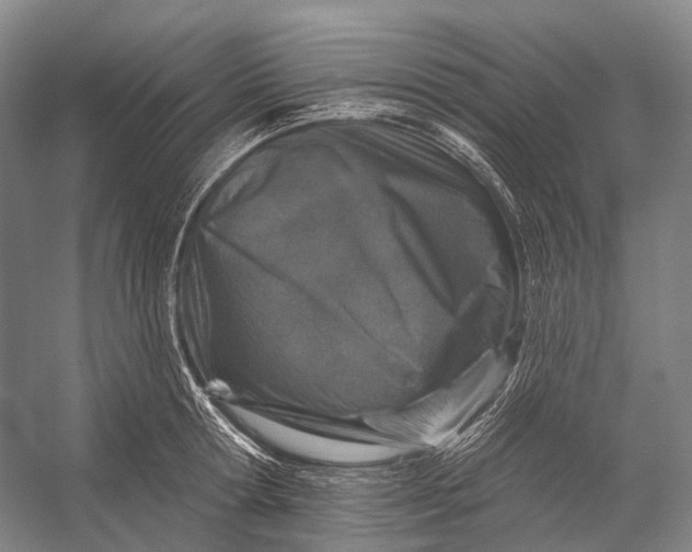 X0000056330802200509161708