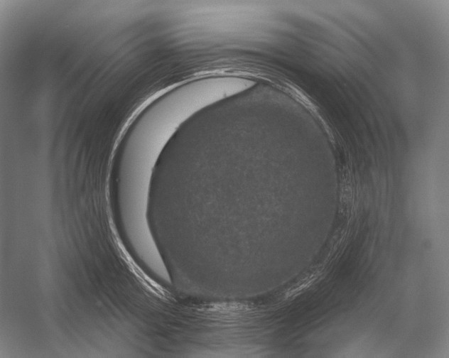 X0000056330803200509161708