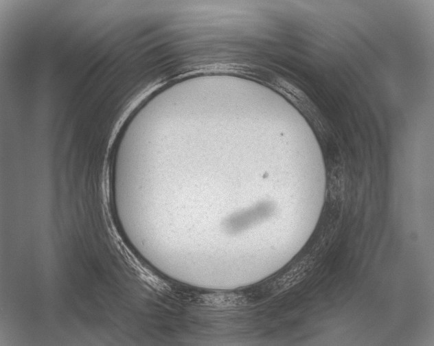 X0000056330804200509161708