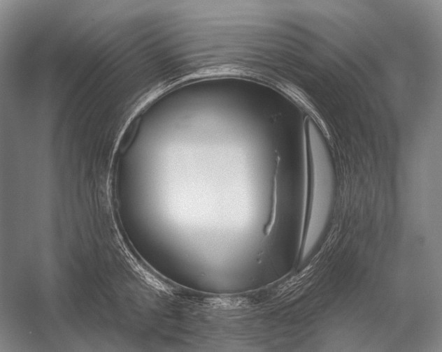 X0000056330805200509161708