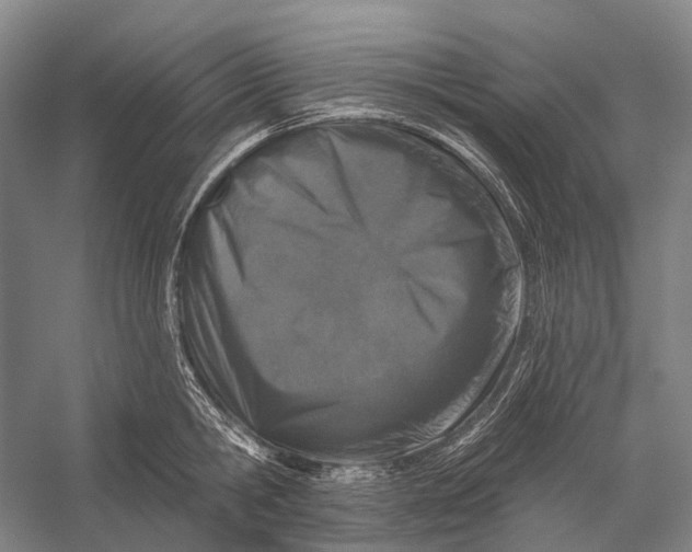 X0000056330806200509161708