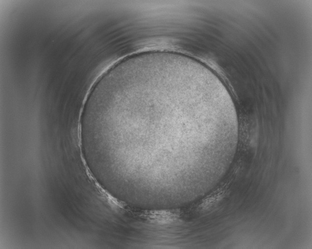 X0000056330807200509161708