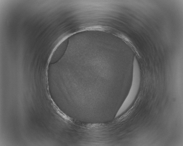 X0000056330808200509161708