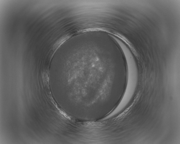 X0000056330809200509161708