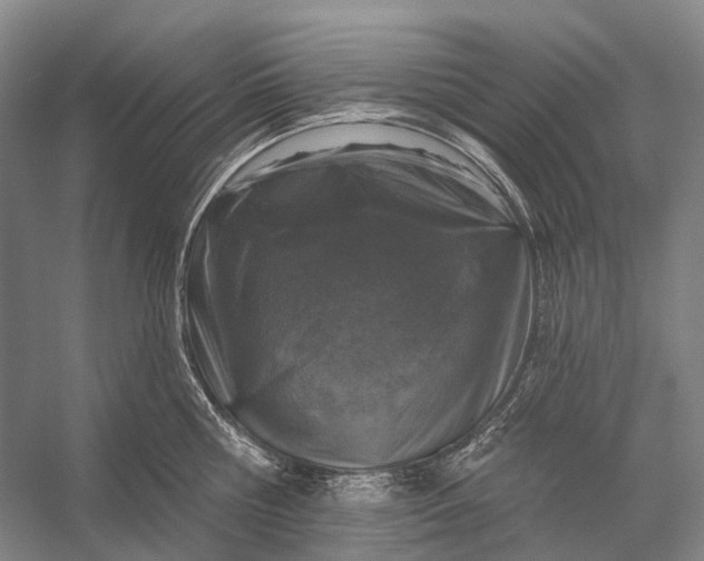 X0000056330810200509161708