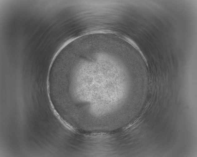 X0000056330811200509161708