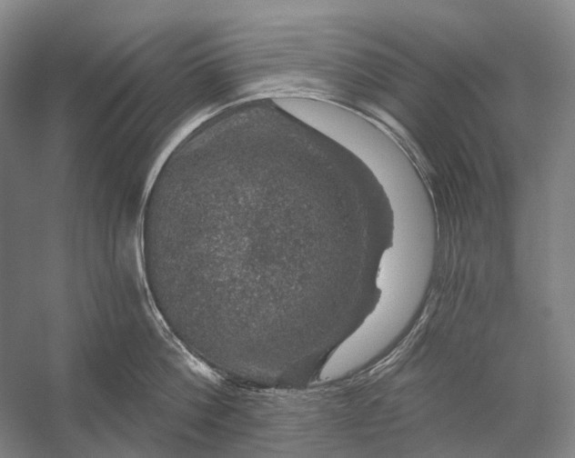 X0000056330812200509161708