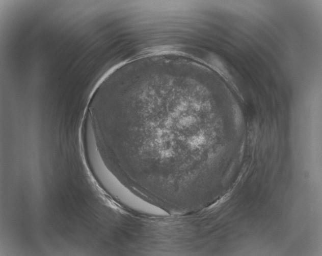 X0000056330814200509161708