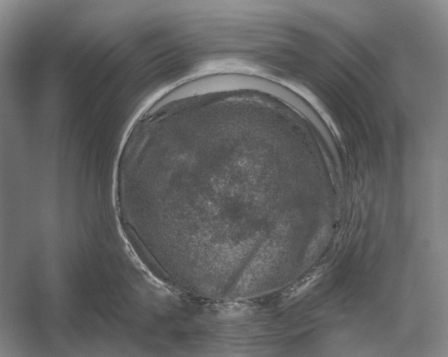 X0000056330815200509161708