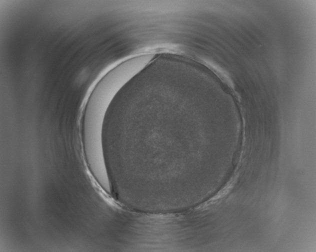 X0000056330816200509161708