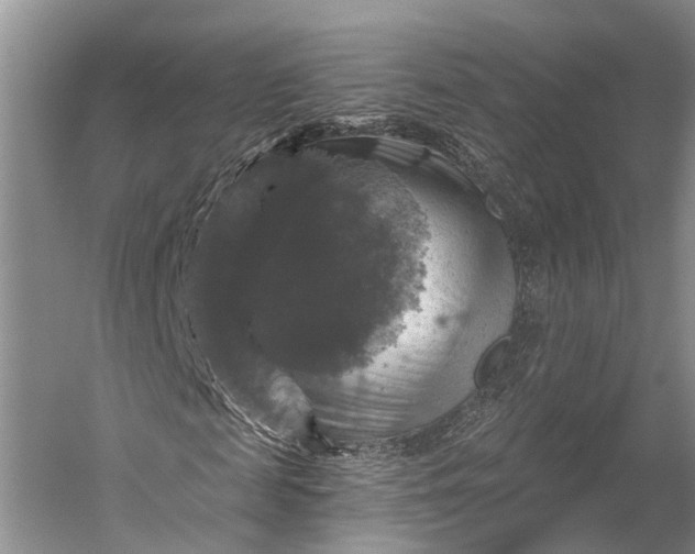 X0000056330817200509161707