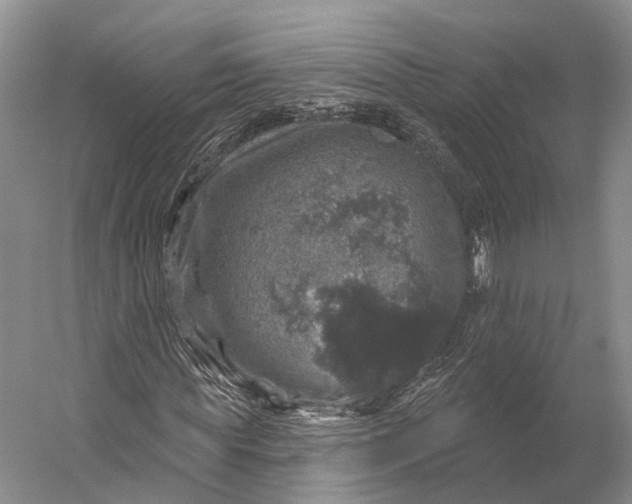 X0000056330819200509161707