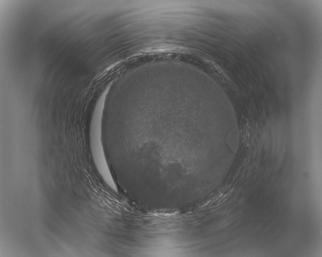 X0000056330821200509161707