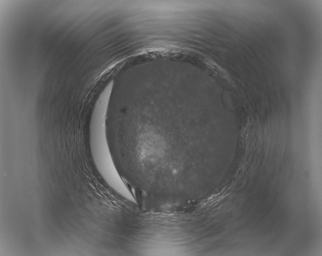 X0000056330822200509161707