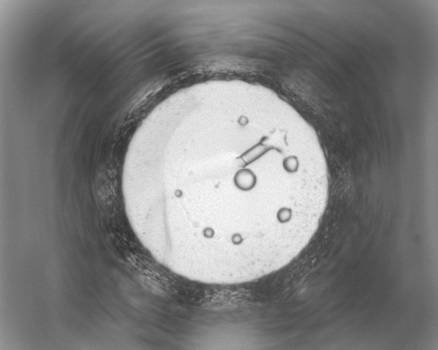 X0000056330824200509161707