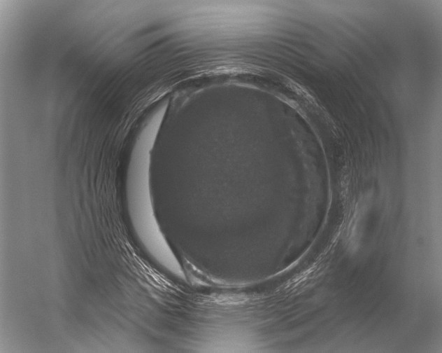 X0000056330825200509161707