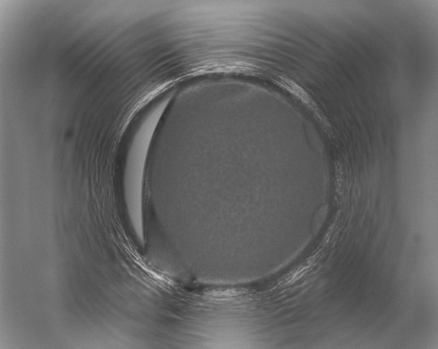 X0000056330826200509161707