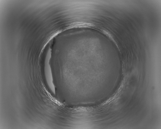 X0000056330827200509161707