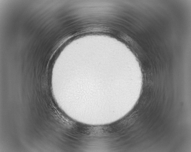 X0000056330828200509161707