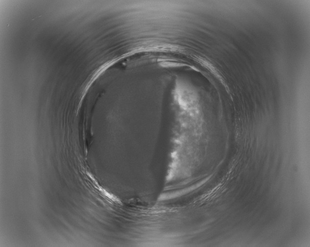 X0000056330829200509161707