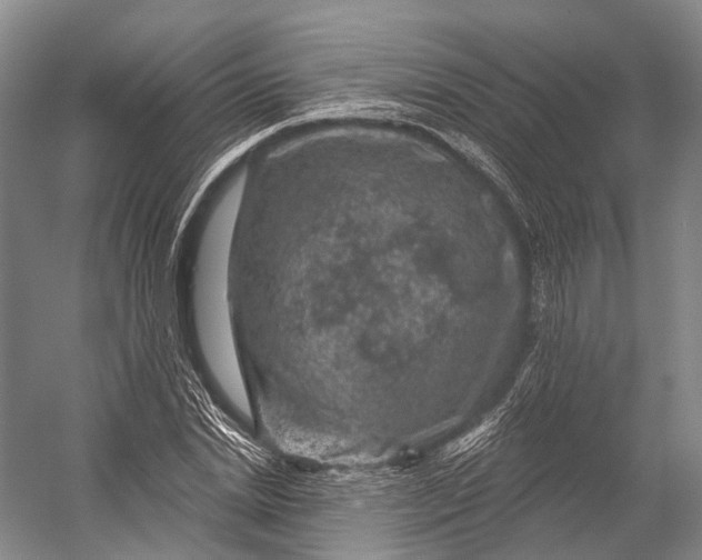 X0000056330830200509161707