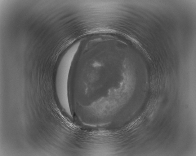 X0000056330833200509161707